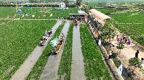 CHINA-LIAONING-SHENYANG-PADDY FIELD-DRAGON BOAT RACE (CN)