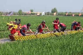 CHINA-LIAONING-SHENYANG-PADDY FIELD-DRAGON BOAT RACE (CN)