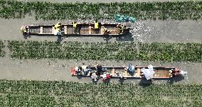 CHINA-LIAONING-SHENYANG-PADDY FIELD-DRAGON BOAT RACE (CN)