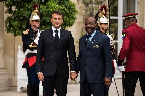 Macron Launches A Coalition Of African Leaders For Financing Natural Capital