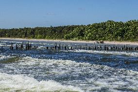 Summer On Cape Kolka, Latvia