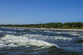 Summer On Cape Kolka, Latvia