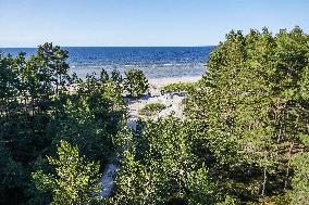 Summer On Cape Kolka, Latvia