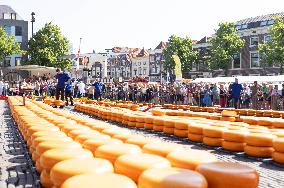 THE NETHERLANDS-ALKMAAR-CHEESE MARKET