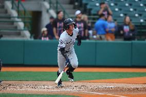 Brooklyn Cyclones v Hudson Valley Renegades