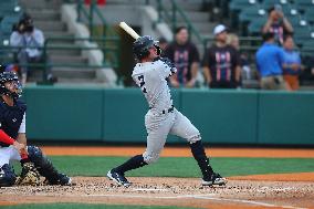 Brooklyn Cyclones v Hudson Valley Renegades