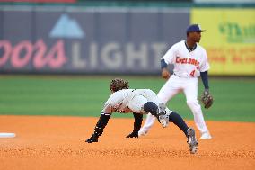 Brooklyn Cyclones v Hudson Valley Renegades