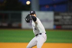 Brooklyn Cyclones v Hudson Valley Renegades