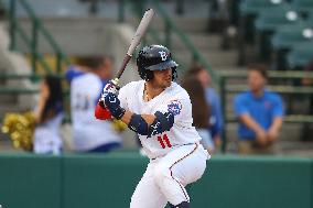 Brooklyn Cyclones v Hudson Valley Renegades