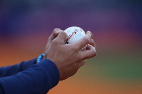 Brooklyn Cyclones v Hudson Valley Renegades