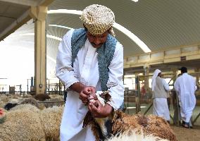 Qatar Eid Al-Adha Preparation 2023