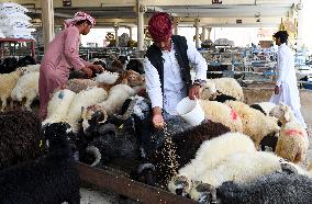 Qatar Eid Al-Adha Preparation 2023