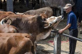 INDONESIA-SUMEDANG-EID AL-ADHA-PREPARATION-LIVESTOCK-MARKET