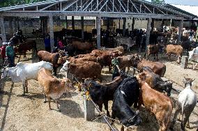 INDONESIA-SUMEDANG-EID AL-ADHA-PREPARATION-LIVESTOCK-MARKET