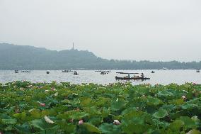 2023 Dragon Boat Festival Holiday Tourism