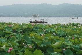 2023 Dragon Boat Festival Holiday Tourism