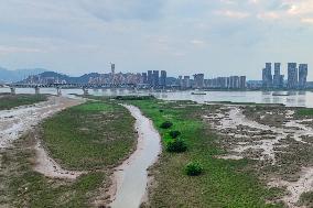 Wetland Ecology