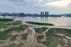 Wetland Ecology