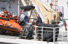 Titan Sub's Main Support Ships Return To Harbour - Canada