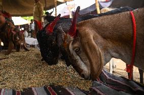 India Eid