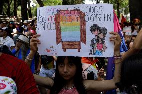250,000 People Participate Pride March In Mexico