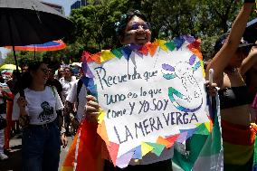 250,000 People Participate Pride March In Mexico