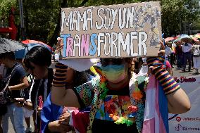 250,000 People Participate Pride March In Mexico