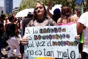 250,000 People Participate Pride March In Mexico