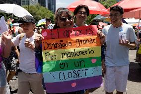 250,000 People Participate Pride March In Mexico