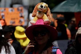 March Against Animal Abuse In Mexico