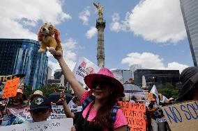 March Against Animal Abuse In Mexico