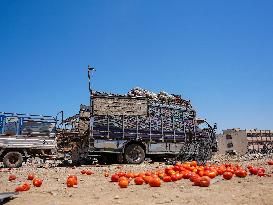 Russian Airstrikes On A Vegetable Market In Northern Syria