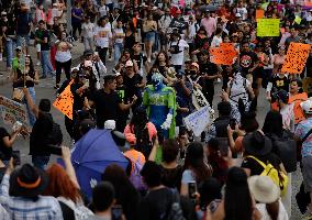 March Against Animal Abuse In Mexico