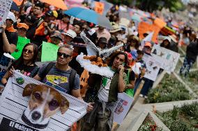 March Against Animal Abuse In Mexico