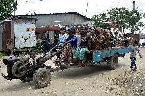 BANGLADESH-MUNSHIGANJ-CATTLE-MARKET