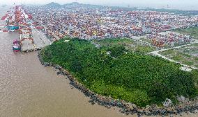 Shanghai Yangshan Port Area Automation Terminal