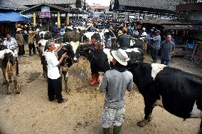 INDONESIA-LIVESTOCK-MARKET-EID AL-ADHA