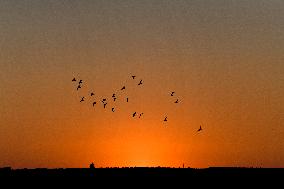 Sunset In Northwestern Syria