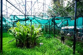 Greenhouse In India
