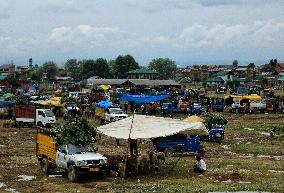 Eid al-Adha Celebration - Kashmir