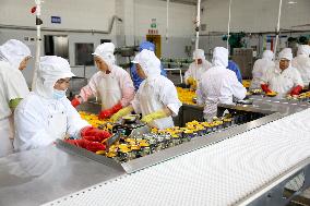 China Manufacturing Industry Canned Yellow Peaches Export