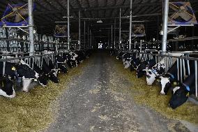 Modern Dairy Farm