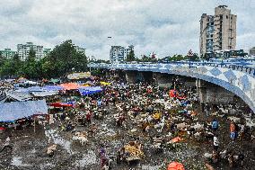 Livestock Market Ahead Of Eid-ul-Adha In India.