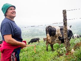 Walking The Camino Primitivo, In Spain.