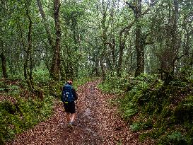 Walking The Camino Primitivo, In Spain.