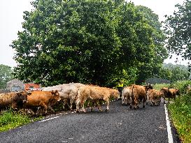 Walking The Camino Primitivo, In Spain.