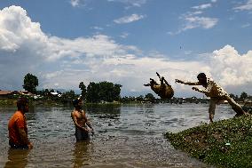 Sacrificial Animals For Sale In Kashmir