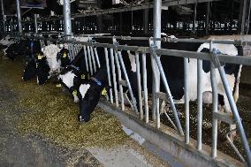 Modern Dairy Farm