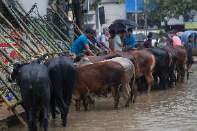 Eid Al-Adha Preparation In Bangladesh