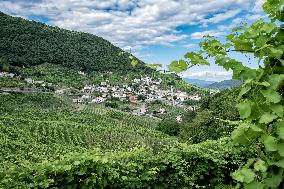 Panorama Of Santo Stefano Valdobbiadene (TV) Land Prosecco And Cartizze DOCG Vineyards In Summer